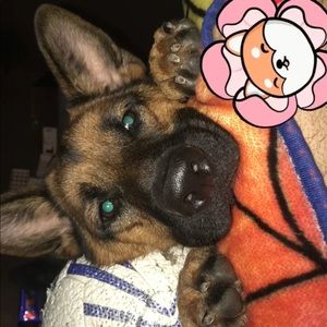 Meet your Posher, Hailey